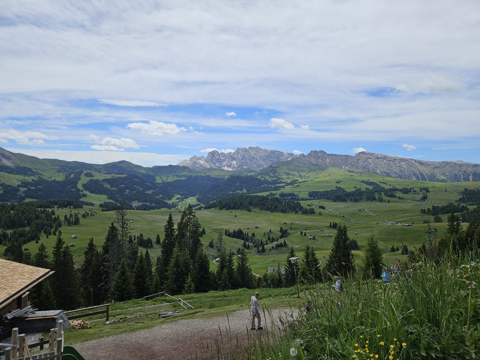 Alpe di Siusi meadows and forest with Dolomite peaks in the distance