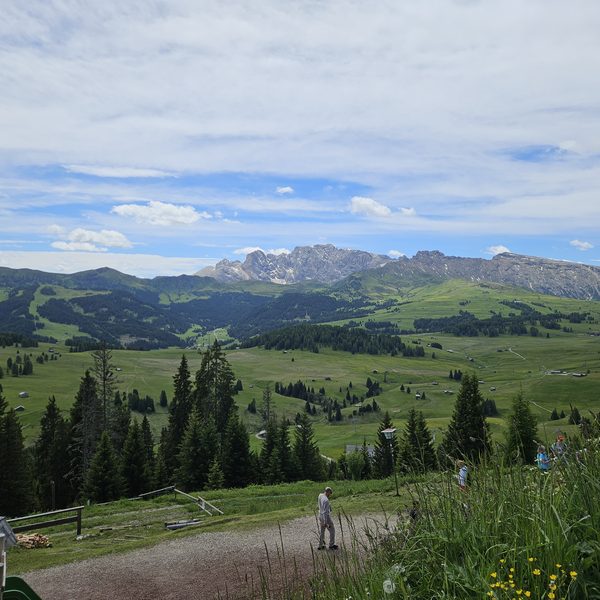 Alpe di Siusi meadows in Val Gardena