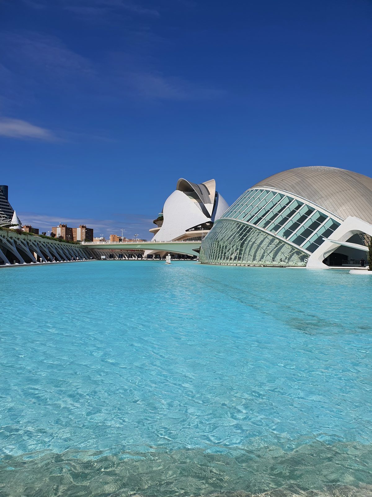 City of Arts and Sciences in Valencia with its turquoise pool