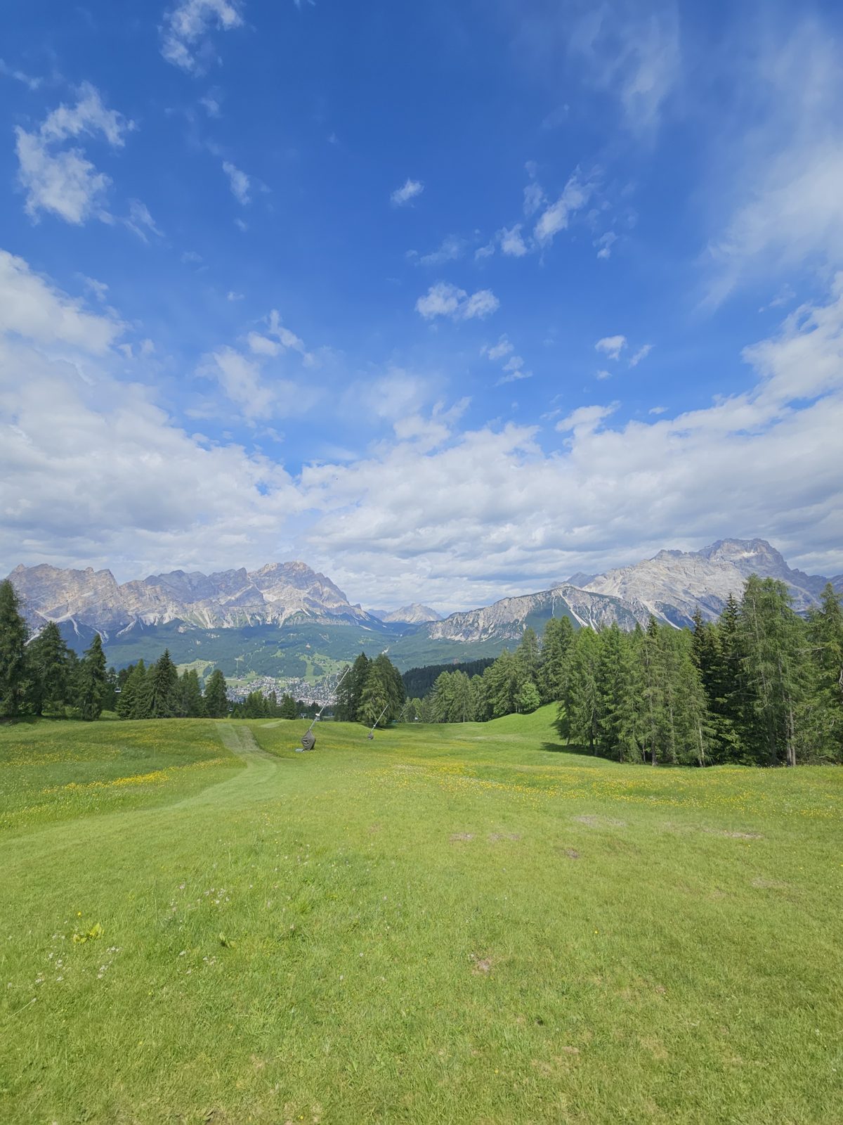 Green meadow above Cortina d'Ampezzo with Dolomite peaks on the horizon