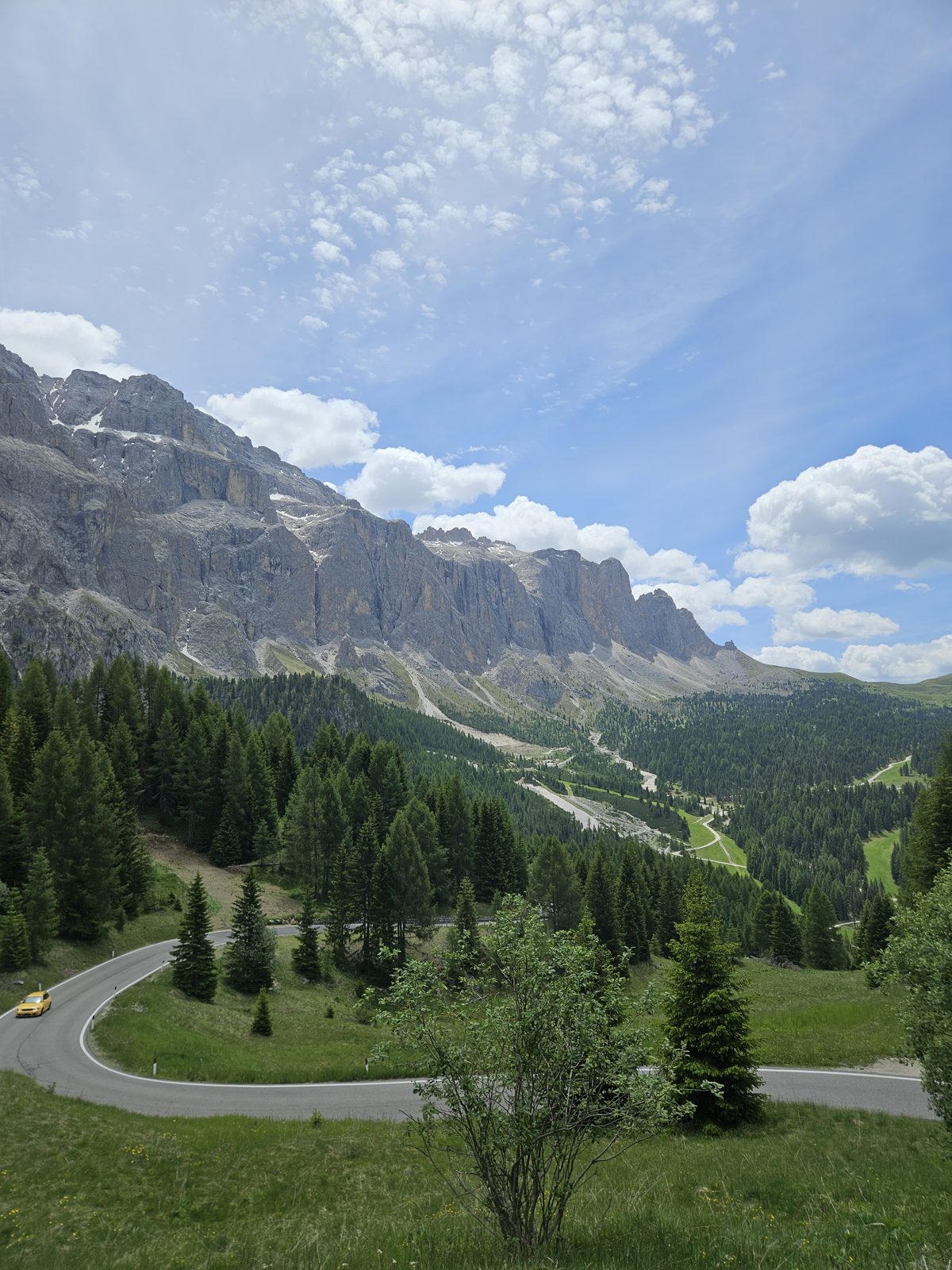 Winding mountain road through pine forest below rocky Dolomite peaks