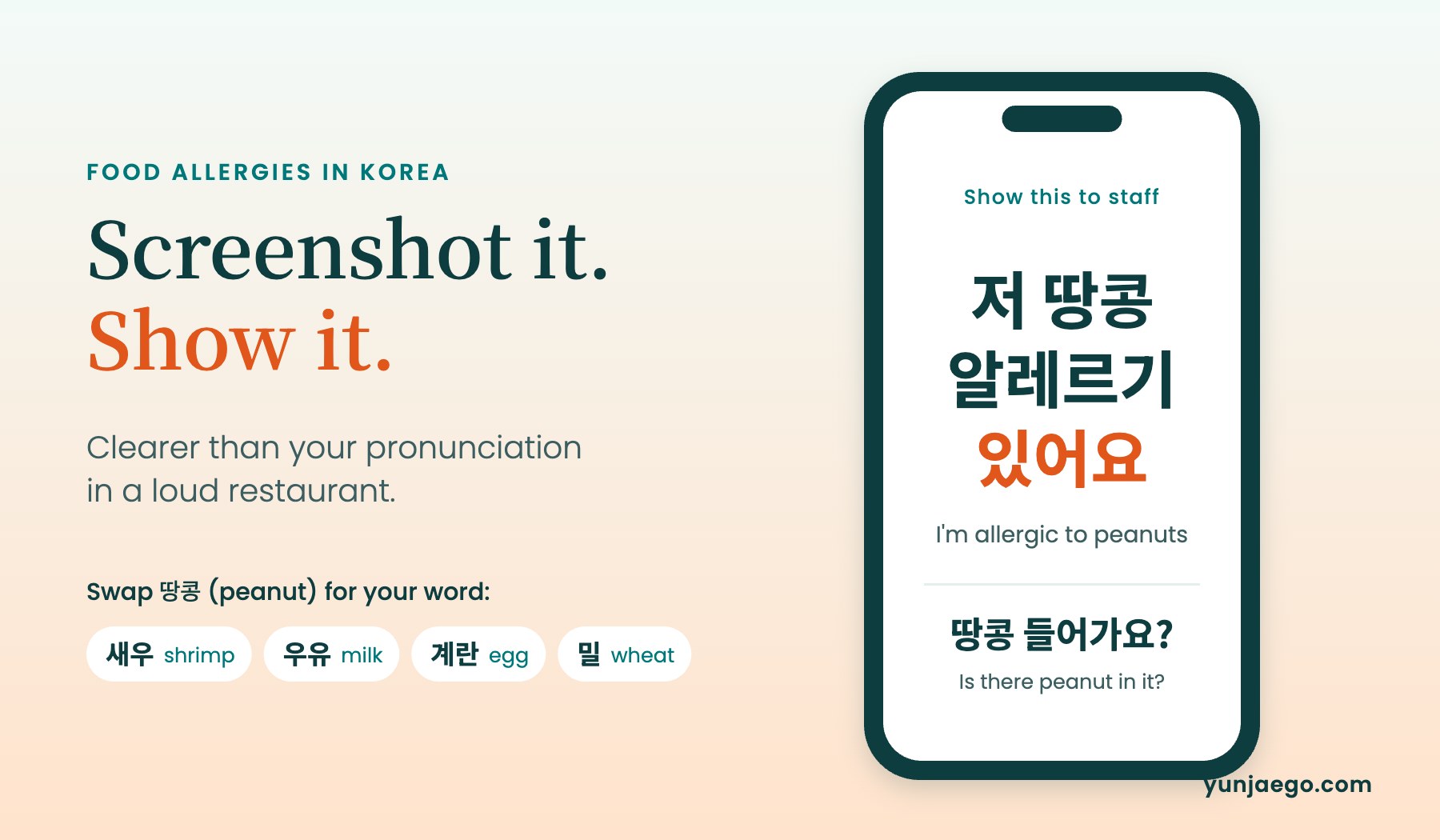 Phone screen showing the Korean phrase 저 땅콩 알레르기 있어요, I am allergic to peanuts
